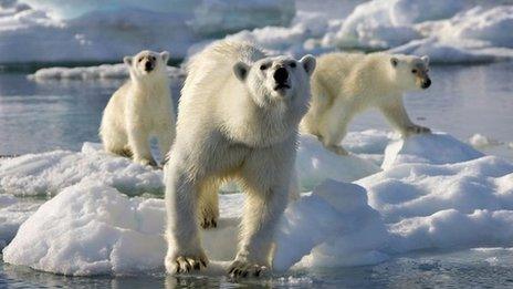 Xbox and Minecraft partner with BBC Earth to create Frozen Planet