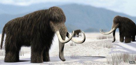 Artistic impression of woolly mammoths