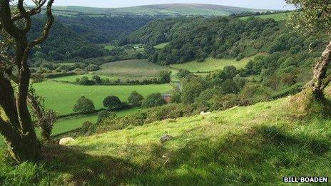 Gwaun valley