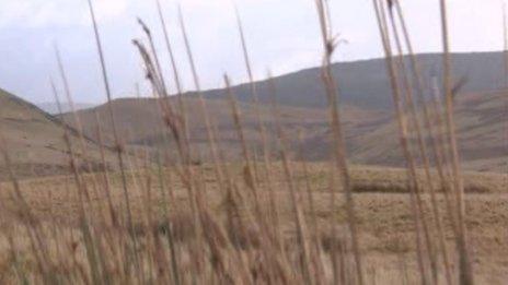 Y Mynydd Du