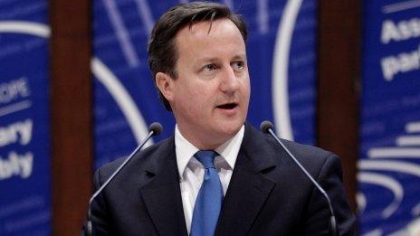 David Cameron addressing the Council of Europe