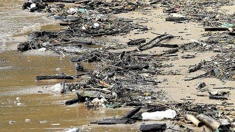 Debris on shoreline (Image: AP)