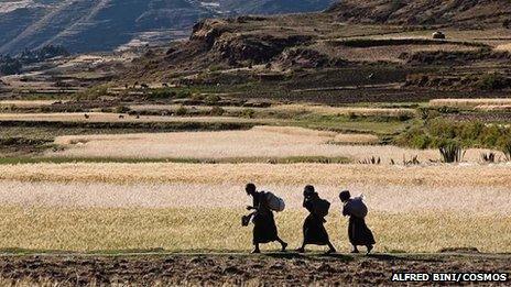 Ethiopia, Agula regionof Tigray. Farming women walk along a bank to reach their allotment. The average size of the allotments