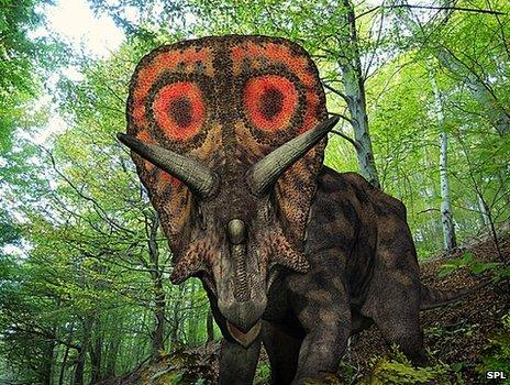 Computer artwork of a Torosaurus wandering in a forest about 65 to 100 million years ago, in what is now south-east Wyoming in the United States
