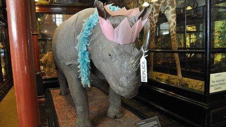 Rosie the rhino wearing a party hat at Ipswich Museum