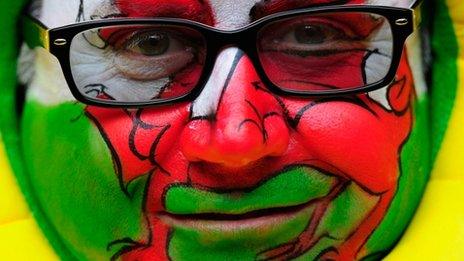 A Welsh fan at the game on Saturday