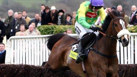 Jockey Ruby Walsh jumps the last on Kauto Star to win the Cheltenham Gold Cup Chase in 2009