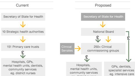 NHS flowchart showing proposed changes to structure