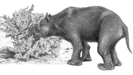 An extinct marsupial mega-herbivore
