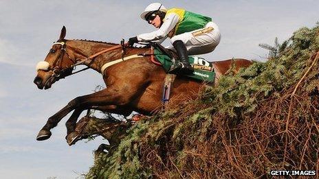 Grand National Horse Race Has More Than One Winner c News