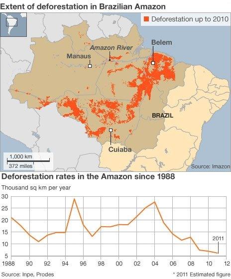 Graphic showing Amazon deforestation