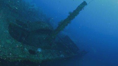 HMS Hermes wreck (picture courtesy of Sri Lanka Diving Tours)