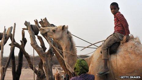 A Bedouin sits on a camel near a water point in southeastern Mauritania