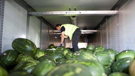 Workers searching cargo in Patras