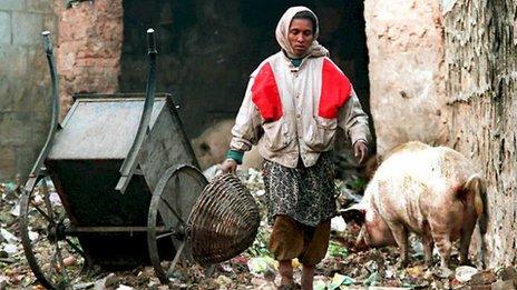 Dalit sweeper woman walks by a pig at a dump