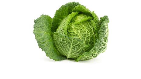 Savoy cabbage