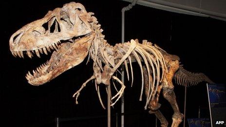 The near-complete skeleton of the Tyrannosaurus Bataar which was dug up in 1995 but illegally exported to the US in 2010, according to a New York court.