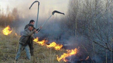 Fire in forest in Chernobyl