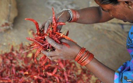 Woman with crop of red chillies