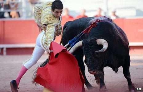 Bullfighting declared legal in France - BBC News