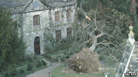 Wakehurst Place in West Sussex