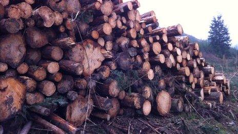 Logging in Powys