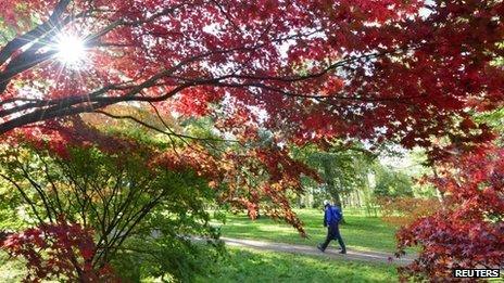 A walker enjoys the Autumn colours at Westonbirt Arboretum in Gloucestershire