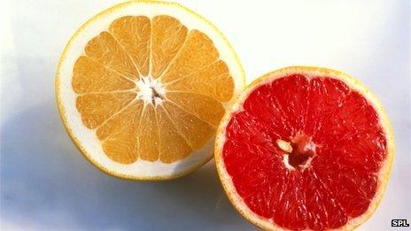 Grapefruit