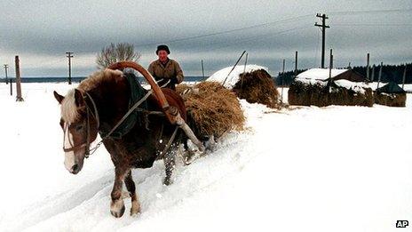 File photo of Russian farmer