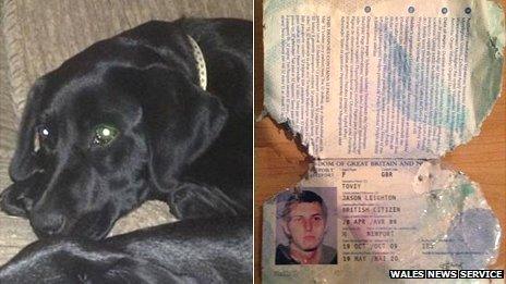 Buster the puppy and the chewed passport