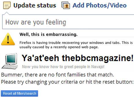 Screengrabs of Facebook, Flickr and so on
