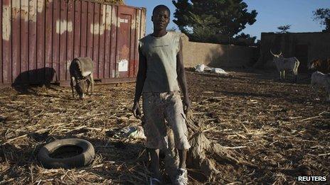 A Dogon cattle herder