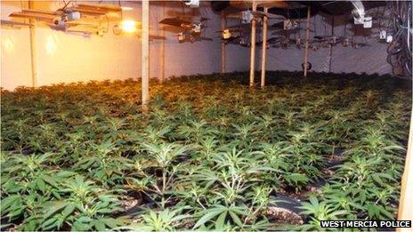 Twelve bailed over cannabis factory find in Stourport-on-Severn - BBC News