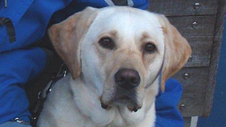 Wag (Pic: The Guide Dogs for the Blind Association)