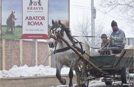 Romanian abbatoir