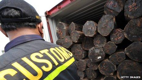 It is believed that upgrading endangered species in Cites will make illegally logged wood more difficult to sell