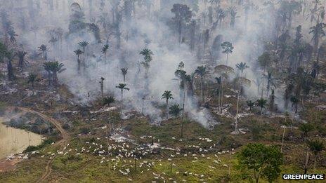 Forest clearance in Sao Felix Do Xingu in Para, Brazil