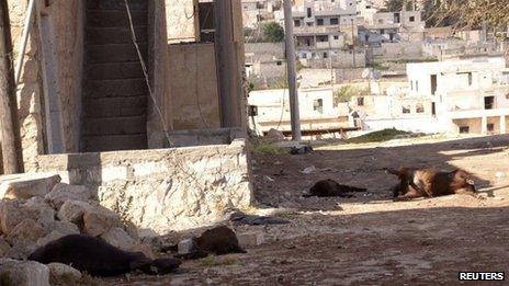 Animal carcasses lie on the ground, killed by what residents said was a chemical weapon attack on Tuesday, in Khan al-Assal area