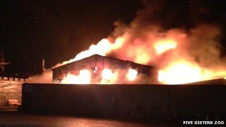 The blaze destroyed the reptile house at the zoo