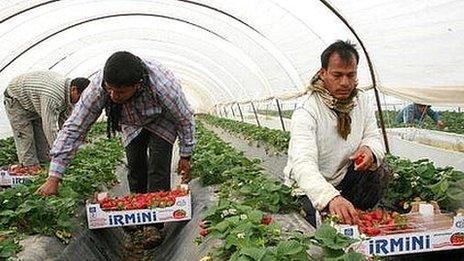 Migrant workers at strawberry farm in Nea Manolada