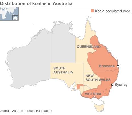 Koala map