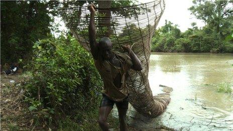 Niger Delta fisherman carries net laden with fish out of a creek