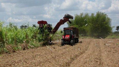 A Brazilian harvester at work in Cuba's sugar cane fields in May 2013