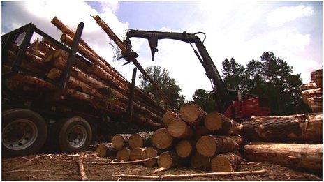 timber on trucks