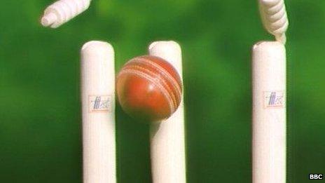 Cricket ball hitting stumps generic