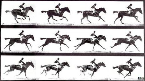 Galloping horse sequence produced by British photographer Eadweard James Muybridge (c) Science Photo Library
