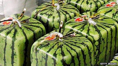 Japan Cubic Melons A Snip At 500 In Moscow BBC News    68757202 Watermelon51341923 