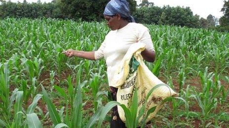 Mary Kisioro in field in Eldoret, Kenya
