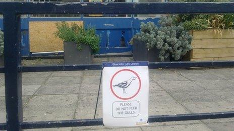 Do not feed the birds sign