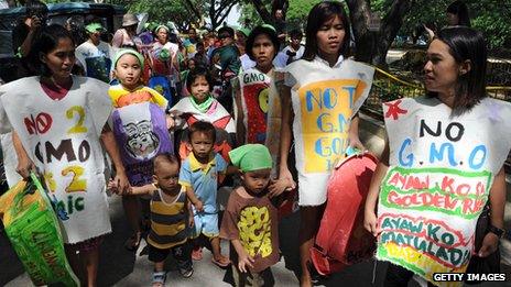 'Golden rice' GM trial vandalised in the Philippines - BBC News